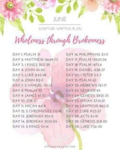 IMG_20170604_145402_724